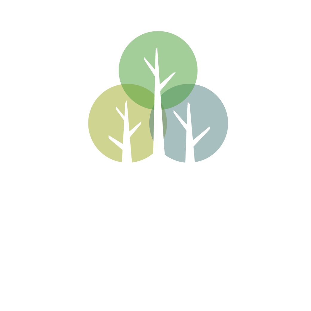 Parque Víctor Lamas 3